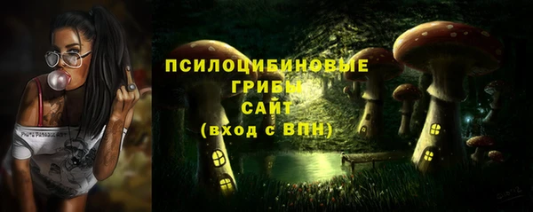 ешки Алексеевка