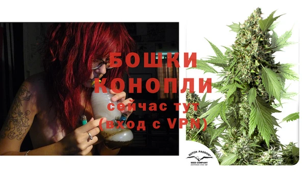 ГАЛЛЮЦИНОГЕННЫЕ ГРИБЫ Елизово