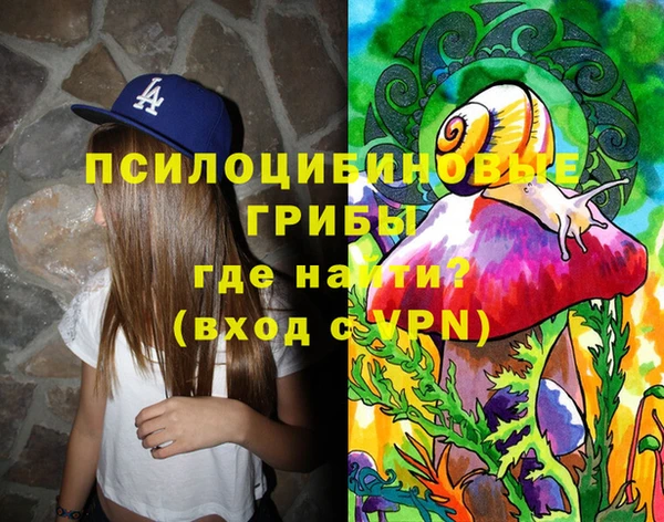 ешки Алексин