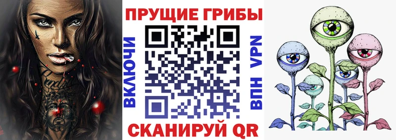 Псилоцибиновые грибы мицелий  как найти наркотики  blacksprut ONION  Артём 